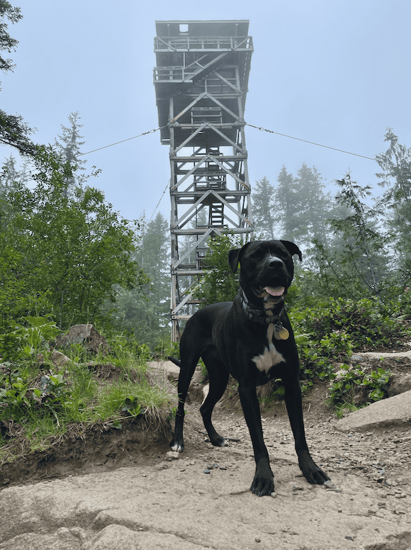 Heybrook Lookout near Index, Washington is a fun spot to stay and enjoy falling asleep to the mountains.